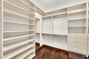 Owners walk-in closet with dark wood finished floors