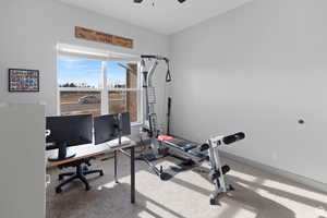 Exercise room featuring carpet flooring and ceiling fan