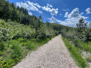 Gravel road to property