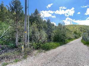 Gravel road to property / Chokecherry Ln