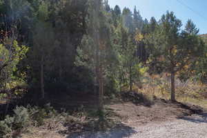 View off of Chokecherry Ln