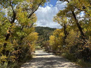 Road to property off of Mirror Lake Highway