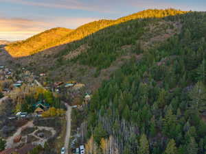 View of mountain background featuring a heavily wooded area