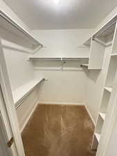 Spacious closet featuring light colored carpet