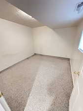 3rd Bedroom/Den with a textured ceiling and carpet floors