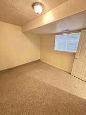 Basement Bedroom/Den with a textured ceiling and carpet floors