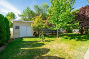 View of yard featuring a shed