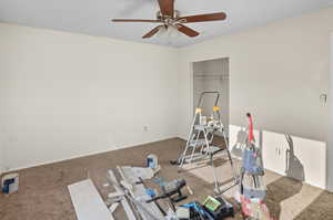 Exercise area featuring carpet and ceiling fan
