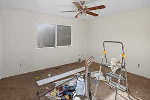 Exercise area featuring carpet floors and ceiling fan