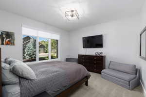 Bedroom with carpet floors