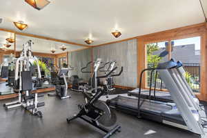 Workout area featuring healthy amount of natural light and wood walls