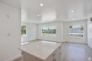 Kitchen with recessed lighting, a kitchen island, plenty of natural light, light wood finished floors, and open floor plan
