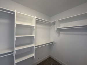 Spacious closet with dark colored carpet