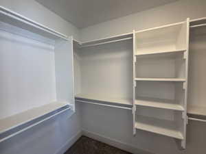 Spacious closet featuring dark colored carpet