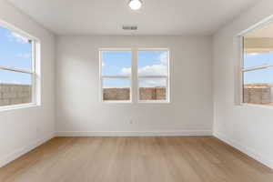 Spare room featuring light wood-type flooring and plenty of natural light