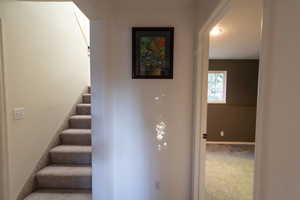 Stairway featuring carpet floors and baseboards