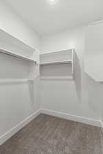 Walk in closet featuring dark colored carpet