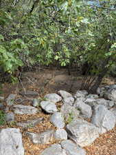 View of undeveloped land