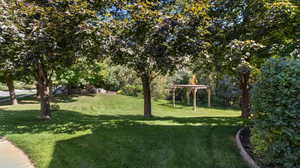 Large side yard with pergola and lots of flat area for entertaining/playing.
