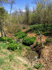 View of nature featuring a mountain backdrop