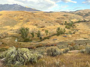 View of mountain backdrop