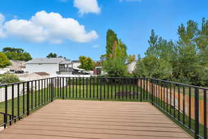 Trex deck and iron railing