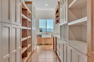 Spacious closet featuring light wood finished floors and a sink