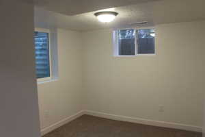 Below grade area with a textured ceiling and dark colored carpet