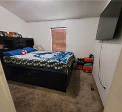 Bedroom featuring carpet floors and a textured ceiling