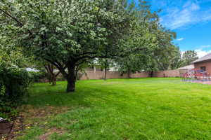 View of fenced backyard