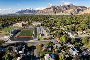 Aerial view of a mountainous background and a forest
