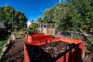 View of yard with a vegetable garden