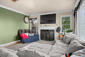 Living room with crown molding, wood finished floors, and a fireplace