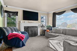 Carpeted living room featuring ornamental molding and a fireplace