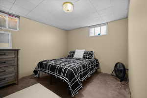 Bedroom with carpet flooring