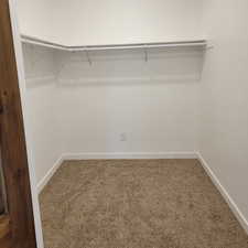 Walk in closet with carpet