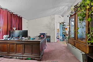 Office with vaulted ceiling, a textured ceiling, radiator, and light carpet