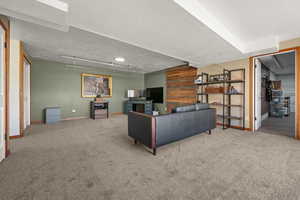 Large lower level living room