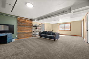 Large lower level living room