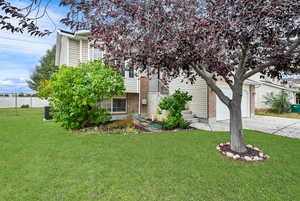 View of property hidden behind natural elements with driveway and brick siding