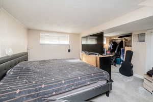 Bedroom featuring carpet, a closet, and a textured ceiling