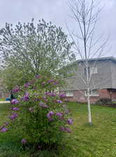 View of side of home with a yard and brick siding