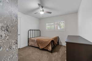 Main floor second bedroom