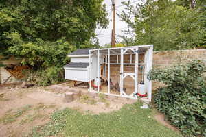 View of poultry coop