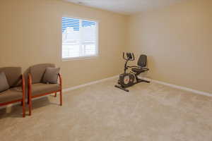 Living area featuring baseboards and light colored carpet