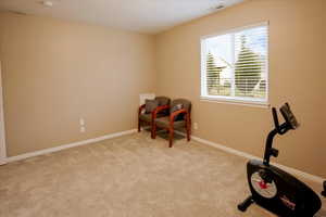 Living area featuring baseboards and light colored carpet