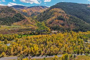 Mountain view with a heavily wooded area
