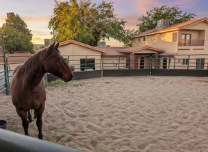 View from round pen to the home