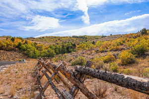 View of mountain background featuring a heavily wooded area