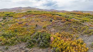 View of mountain background